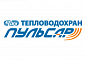 Пульсар Пульсар